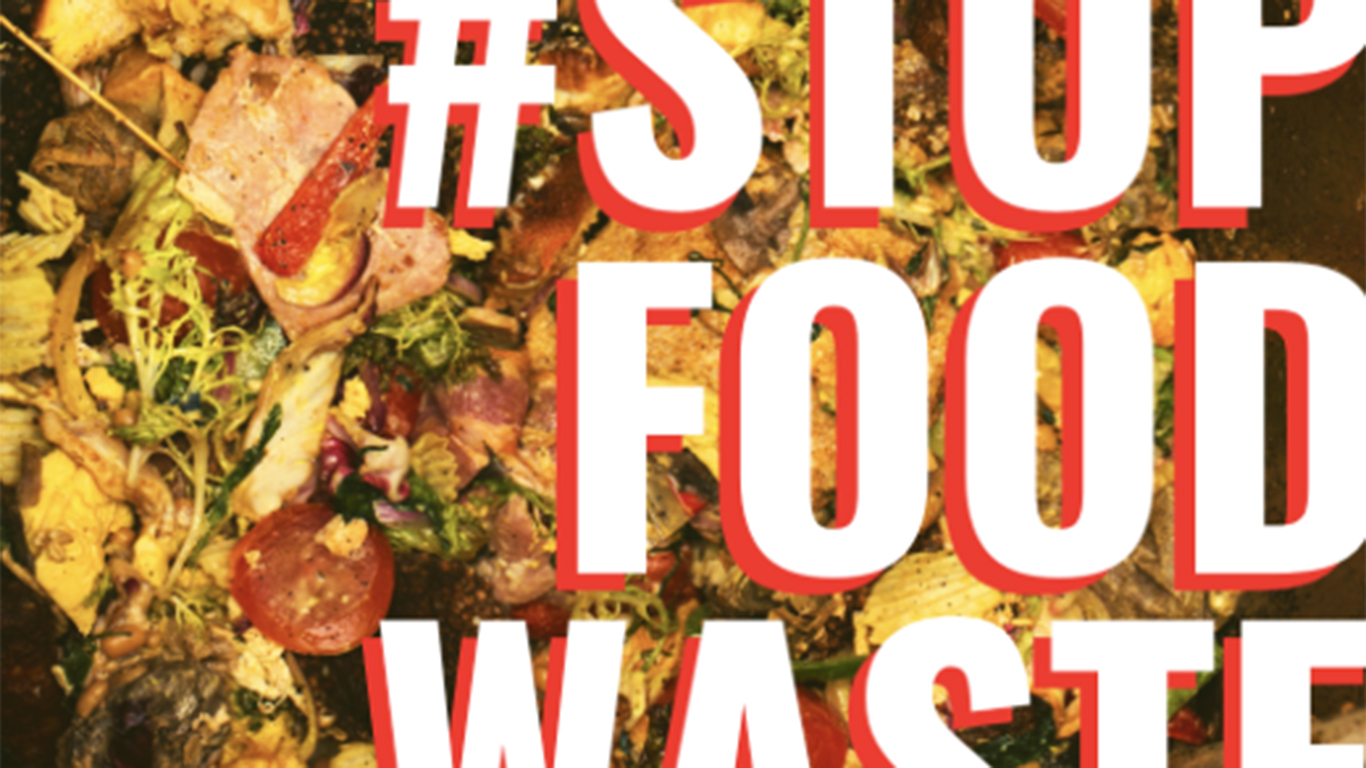 Galway Food and Waste Instagram
